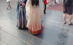 耕种妈妈肥沃的土地美国